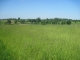zd2