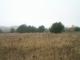 zd2