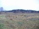 zd9