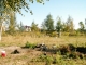 zd