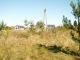zd