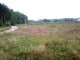 Dziaka