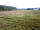 Dziaka