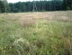 Dziaka